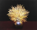 白 明子 / Baek Myung-ja / shepherd,s purse flower
